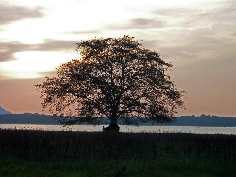 Sril Lanks MM Feb 2014-1916_edited-1.jpg